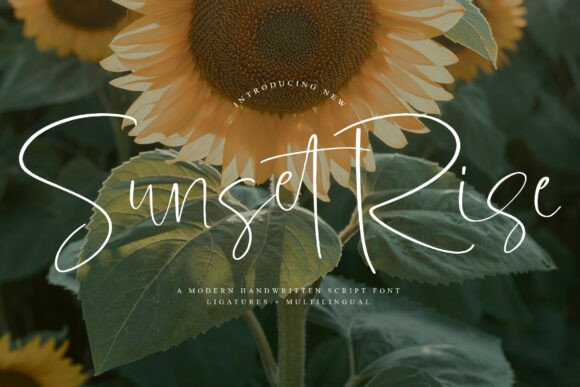 Sunsetrise: A Stylish Script Font