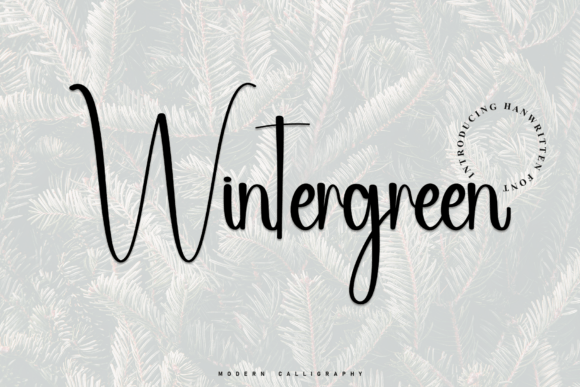 Wintergreen: A Stylish Script Font